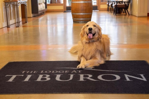 The Lodge At Tiburon image 10