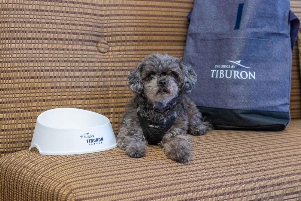 The Lodge At Tiburon image 24